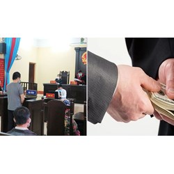 Mức phạt tội chứa chấp hoặc tiêu thụ tài sản do phạm tội mà có