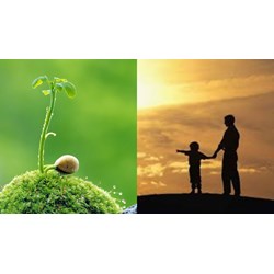 10 câu chuyện cuộc sống cực kỳ ý nghĩa mà bạn nên đọc