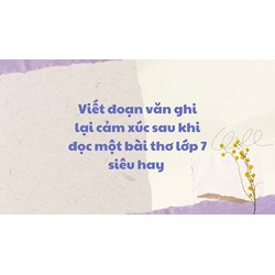 Viết đoạn văn ghi lại cảm xúc sau khi đọc một bài thơ lớp 7 siêu hay
