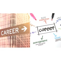 Top 10 ngành học có cơ hội việc làm cao sau khi ra trường hiện nay?