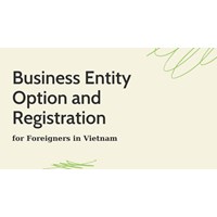 Business Entity Option and Registration for Foreigners in Vietnam
