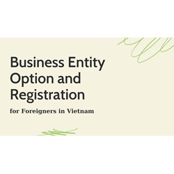 Business Entity Option and Registration for Foreigners in Vietnam