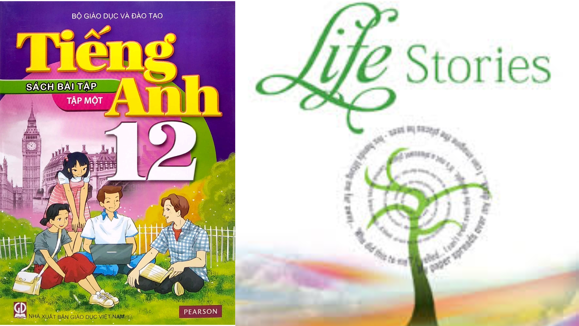 Từ vựng Tiếng Anh Unit 1 lớp 12 Life Stories đầy đủ, chi tiết nhất