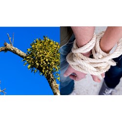 Viết bài luận thuyết phục người khác từ bỏ thói quen: dựa dẫm, ỷ lại