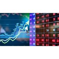 Nhà đầu tư nước ngoài được đầu tư trực tiếp trên sàn chứng khoán Việt Nam không?