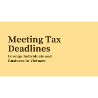 Meeting Tax Deadlines: Foreign Individual and Business in Vietnam
