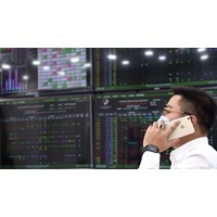 Báo cáo tài chính đã được kiểm toán khi niêm yết trên sàn Upcom?