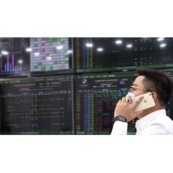 Báo cáo tài chính đã được kiểm toán khi niêm yết trên sàn Upcom?