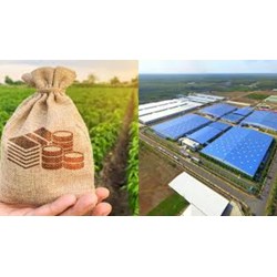 Đất cơ sở sản xuất phi nông nghiệp dùng để làm những công việc gì?