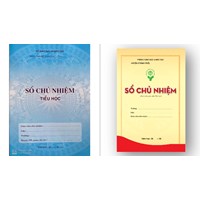 Sổ chủ nhiệm Tiểu học năm học 2024 - 2025 mới nhất