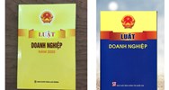 Luật Doanh nghiệp mới nhất 2024 và Nghị định, Thông tư hướng dẫn