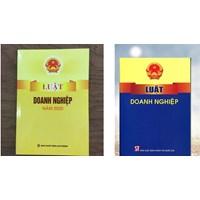 Luật Doanh nghiệp mới nhất 2024 và Nghị định, Thông tư hướng dẫn