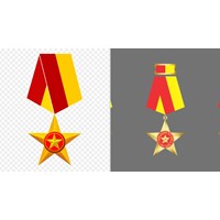 Huân chương Sao vàng là gì? Những ai được tặng? Mức tiền thưởng?