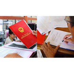 Người Việt Nam định cư ở nước ngoài có được nhận chuyển nhượng đất?