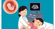 Lao động nữ mang thai được giảm giờ làm việc trong trường hợp nào?