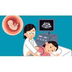 Lao động nữ mang thai được giảm giờ làm việc trong trường hợp nào?