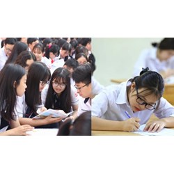 Thi khối D nên chọn học ngành nào, trường nào để dễ xin việc?