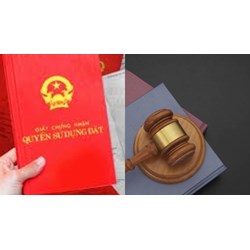 Sổ đỏ đất nông nghiệp của cá nhân, hộ gia đình có thời hạn bao lâu?