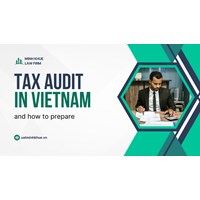 Facing the Scrutiny: Tax Audits in Vietnam and How to Prepare