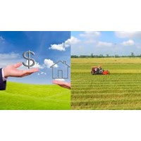 Làm sổ đỏ đất nông nghiệp thì chi phí, lệ phí hết bao nhiêu tiền?