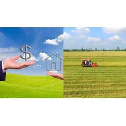 Làm sổ đỏ đất nông nghiệp thì chi phí, lệ phí hết bao nhiêu tiền?