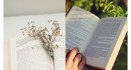 Tác phẩm văn học trong sở hữu trí tuệ là gì? Tác phẩm văn học nào được bảo hộ bản quyền?