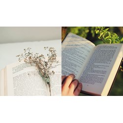 Tác phẩm văn học trong sở hữu trí tuệ là gì? Tác phẩm văn học nào được bảo hộ bản quyền?