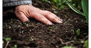 Những điều cần biết khi xây nhà trên đất trồng cây lâu năm gồm?