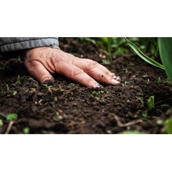Những điều cần biết khi xây nhà trên đất trồng cây lâu năm gồm?