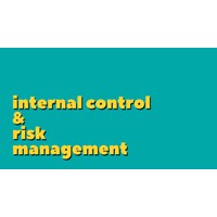 Effective Internal Control Systems and Risk Management Practices