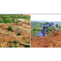 Đất khai hoang được cấp giấy chứng nhận quyền sử dụng đất không?