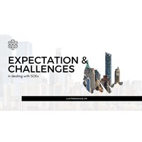 Managing Expectations and Challenges in Dealing with SOEs