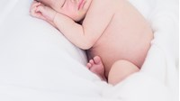 Quy trình đăng ký lại khai sinh khi bị mất giấy khai sinh bản gốc?