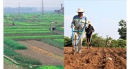 Điều kiện chuyển mục đích sử dụng đất nông nghiệp sang đất ở?
