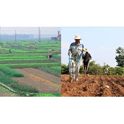 Điều kiện chuyển mục đích sử dụng đất nông nghiệp sang đất ở?