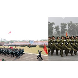 Việt Nam tổ chức diễu binh, duyệt binh vào các năm nào?