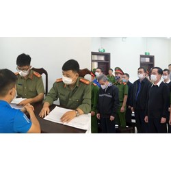 Tội phạm hình sự có bao gồm những hành vi mang tính chất nguy hiểm cho xã hội không đáng kể?