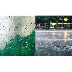 Cảm xúc của em sau khi đọc bài thơ Một mình trong mưa hay nhất