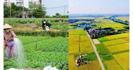Hạn mức chuyển đổi mục đích sử dụng đất có bị giới hạn không?