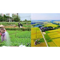 Hạn mức chuyển đổi mục đích sử dụng đất có bị giới hạn không?