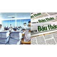 Tổ chuyên gia trong đấu thầu và điều kiện tham gia theo quy định?
