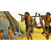 Giải Lịch sử lớp 6, bài 4 Kết nối tri thức: Nguồn gốc loài người