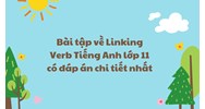 Bài tập về Linking Verb Tiếng Anh lớp 11 có đáp án chi tiết nhất