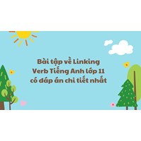 Bài tập về Linking Verb Tiếng Anh lớp 11 có đáp án chi tiết nhất