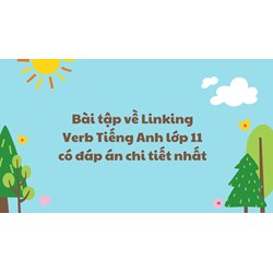 Bài tập về Linking Verb Tiếng Anh lớp 11 có đáp án chi tiết nhất