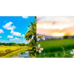 Miêu tả một hình ảnh thiên nhiên tươi đẹp được em lưu giữ trong kí ức