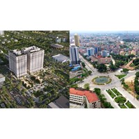 Tải bảng giá đất tại TP Hồ Chí Minh từ 01/8/2024 mới nhất