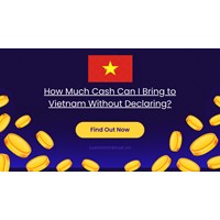 How Much Cash Can I Bring to Vietnam Without Declaring?