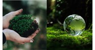 Vai trò, ý nghĩa và các đặc trưng của hệ sinh thái?