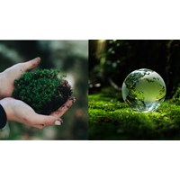 Vai trò, ý nghĩa và các đặc trưng của hệ sinh thái?